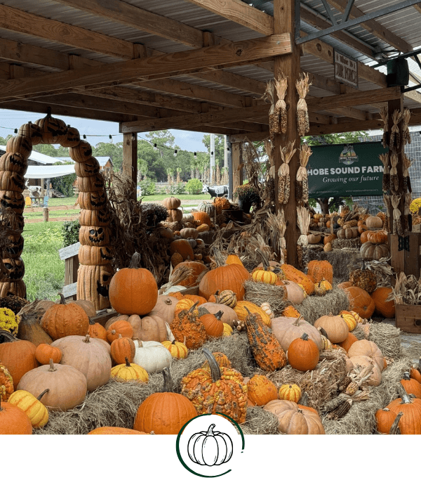 Legendary Pumpkin Patch